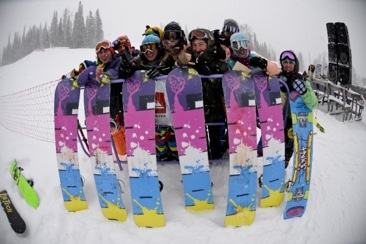 Joint Snowboards 2008